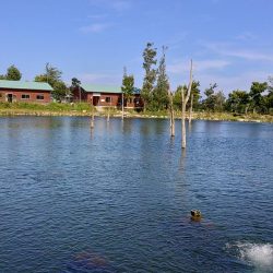 ミノーイングが楽しいフィッシングパーク高島の泉